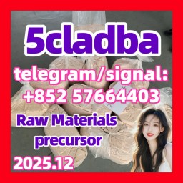 5cladba raw material precursor raw 5cladba 5f adb 4fadb 5cladba raw material precursor raw 5cladba 5f adb 4fadb
