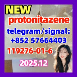 CAS 119276-01-6 Protonitazene (hydrochloride) C23H31CIN4O3 CAS 119276-01-6 Protonitazene (hydrochloride) C23H31CIN4O3