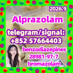 Buy Alpra Zolam Powder Cas 28981-97-7