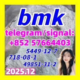 CAS 5449-12-7 BMK Glycidic Acid (sodium salt) 99.9% Purity CAS 5449-12-7 BMK Glycidic Acid (sodium salt) 99.9% Purity