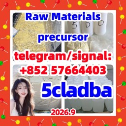 White Yellow 5cladba 5CLADBA 5cl-adb-a