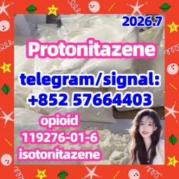 Protonitazene (hydrochloride) CAS:119276-01-6