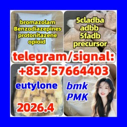 CAS 28578-16-7 99% High Purity PMK Ethyl Glycidate Organic PMK Powder