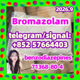 cas.71368-80-4 Bromazolam