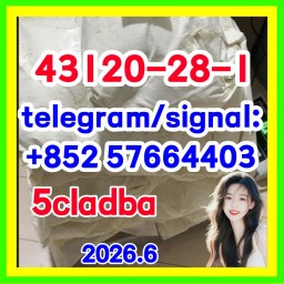 Chinese Factory Supply Wholesale Reliable Quality 43120-28-1 with Cheapest Price