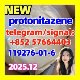 Protonitazene (hydrochloride) (Pronitazene, CAS Number: 119276-01-6) Protonitazene (hydrochloride) (Pronitazene, CAS Number: 119276-01-6)