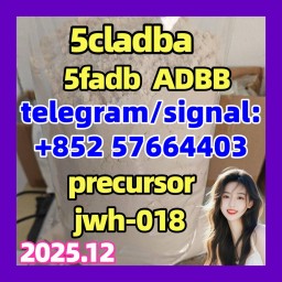 5cladba raw material 5CL-ADB-A precursor raw 5cl 5cladba raw material 5CL-ADB-A precursor raw 5cl