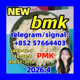 2022 bmk powder cas 5449-12-7 bmk glycidate acid in stock