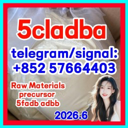 raw material 5cl-adb-a precursor raw 5cladba 5f adb