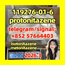 Cas 119276-01-6 Protonitazene (Hydrochloride) Seller China, Buy Cas 119276-01-6 Protonitazene