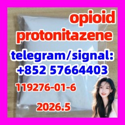 CAS 119276-01-6 Protonitazene Hydrochloride Factory supply  opioid