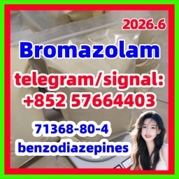 CAS:71368-80-4 Bromazolam  benzodiazepines Sleeping and sedative