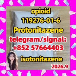 CAS 119276-01-6 Protonitazene High