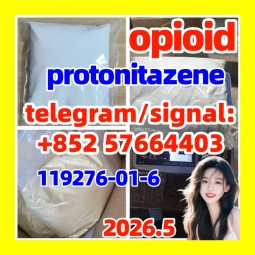 Protonitazene hydrochloride CAS#: 119276-01-6