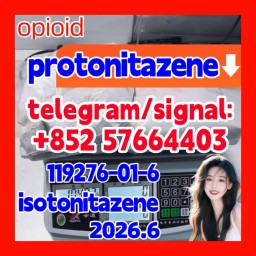 CAS 119276-01-6 Protonitazene Hydrochloride Factory supply