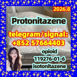 CAS 119276-01-6 Protonitazene