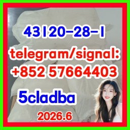 China CAS No.: 43120-28-1, Methyl Indazolyl-3-carboxylate Manufacturers 5CLADBA ADBB