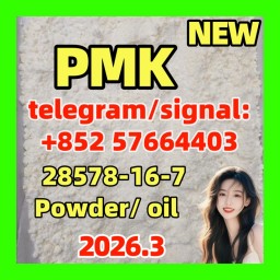 pmk factory pmk powder cas 28578-16-7 new pmk powder