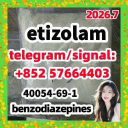 40054-69-1 etizolam