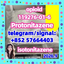 Protonitazene CAS 119276-01-6