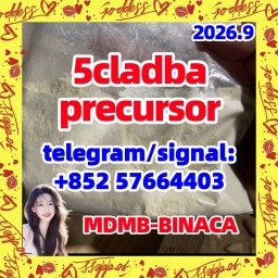 strongest adbb 5cladba precursor raw