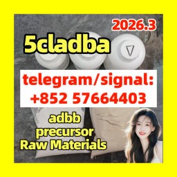 5CL-ADB supplier 5cladba 5cladb vendor on sale now
