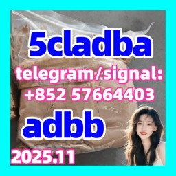 BUY 5CLADBA ,6CL-ADB A, 5CLADBA, 5CL-ADB A, 5F-ADB,4F-ADB with good price