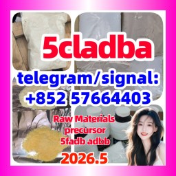 From China 5cl-adb Supplier 5cl 5cladba 5cl Adb Vendor Precursor On Sale at Best Price  现货