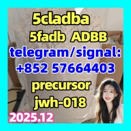5cladba raw material 5CL-ADB-A precursor raw 5cladba 5f adb 5cladba raw material 5CL-ADB-A precursor raw 5cladba 5f adb