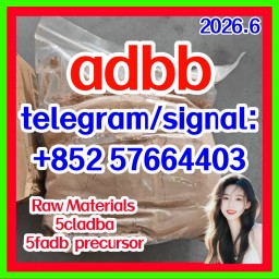 5cladba 5cladba Yellow Powder 5CL-ADB-A 5F-Adb 5Fadb