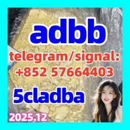 5cladba 5cladba Yellow Powder 5CL-ADB-A 5F-Adb 5Fadb 5cladba 5cladba Yellow Powder 5CL-ADB-A 5F-Adb 5Fadb