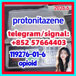 Protonitazene hydrochloride | 119276-01-6