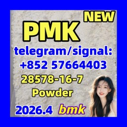 High Quality PMK CAS 28578-16-7 | Reliable Bulk Supply & Fast