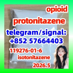 Cas 119276-01-6 Protonitazene (Hydrochloride) opioid  isotonitazene 现货