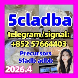 Buy 5CLADBA Online In 2025: Why Verified 5CL‑ADB‑A Vendors Beat “Cheap Yellow Powder”