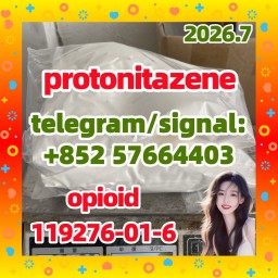 High quality CAS:119276-01-6 Protonitazene (hydrochloride)