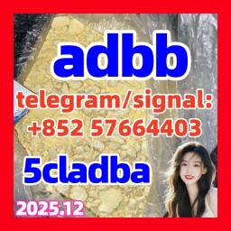 5cladba 5cladba Yellow Powder 5CL-ADB-A 5F-Adb 5Fadb 5cladba 5cladba Yellow Powder 5CL-ADB-A 5F-Adb 5Fadb