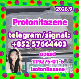 Protonitazene (hydrochloride)119276-01-6