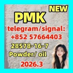 PMK ethyl glycidate | 28578-16-7
