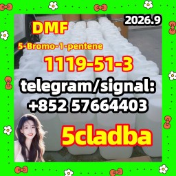 5-Bromo-1-pentene [1119-51-3] | China 68-12-2 dmf a set 5cladba