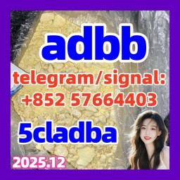 5cladba adbb raw material 5CL-ADB-A precursor raw 5cladba 5f adb 4fadb 5cladba adbb raw material 5CL-ADB-A precursor raw 5cladba 5f adb 4fadb