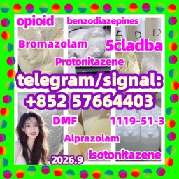 5cladba opioid benzodiazepines protonitazene bromazolam raw materials eutylone PMK bmk