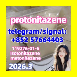 119276-01-6 Protonitazene opioid  Isotonitazene 14188-81-9
