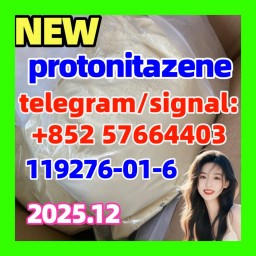 Protonitazene 119276-01-6 Opioid 返回 Protonitazene 119276-01-6 Opioid 返回