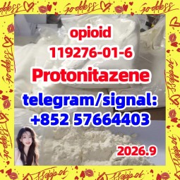 Protonitazene 119276-01-6 opioid China supplier safe delivery