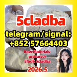 5CLADBA Raw Material 99.8% Purity | Bulk Supplier | Same-Day Shipping  现货