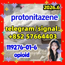 CAS: 119276-01-6 Protonitazene (hydrochloride) opioid analgesia and sedative