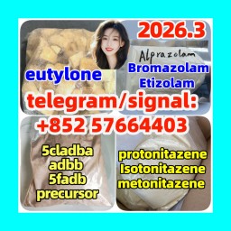 protonitazene opioid 5cladba adbb Raw Materials pmk