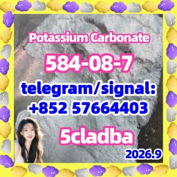 Potassium Carbonate CAS 584-08-7, China