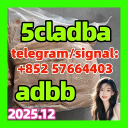 5CLADBA Yellow Powder Buy 5CL-ADB-A Online 5CLADBA Yellow Powder Buy 5CL-ADB-A Online